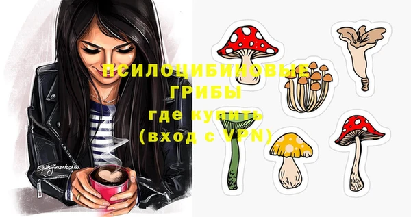 тгк Баксан
