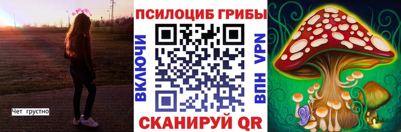 ОМГ ОМГ маркетплейс  что такое наркотик  Шимановск  Галлюциногенные грибы ЛСД 